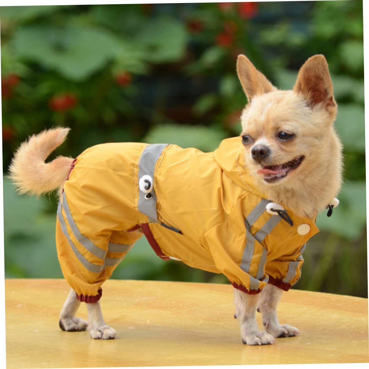 Manteaux de Pluie imperméables pour Chien, imperméable pour Chien, 3 pièces, imperméable pour Chiots pour Petits Chiens, vêtements pour Petits Chiens, imperméab