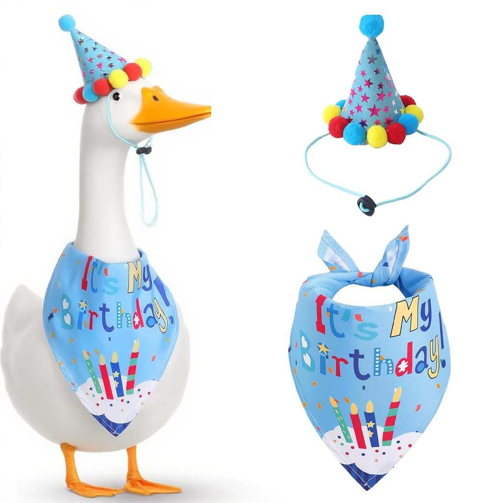 Drefund Porch Goose Outfits (Blue)