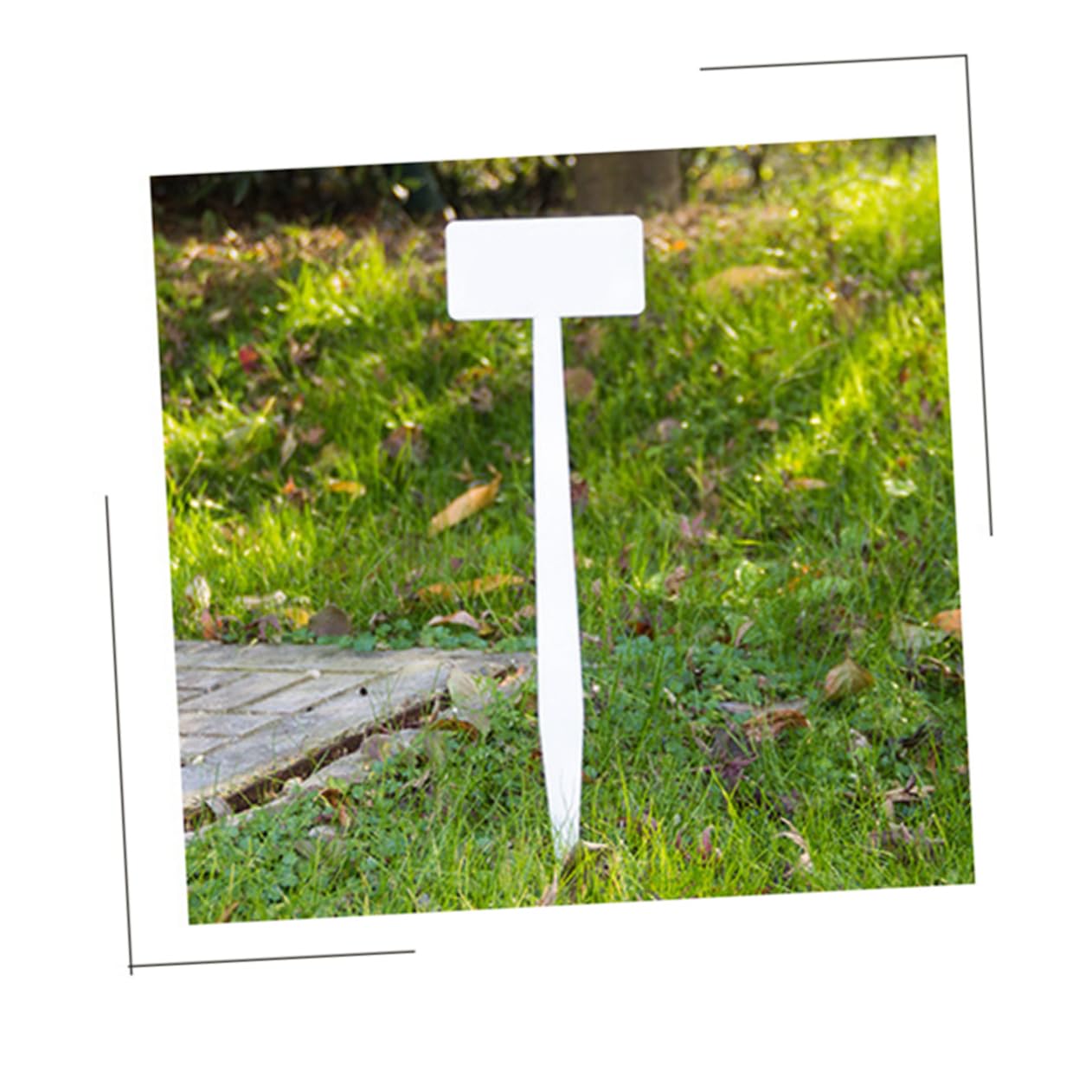 Balacoo 10 Pcs Reusable Plant Labels White Garden Markers for Nursery Durable Plastic Tags for Flowers and Home Gardening