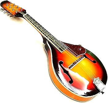 マンドリン 8弦 オレンジ系 ケース付き マンドリン 8弦 オレンジ系 ケース付き