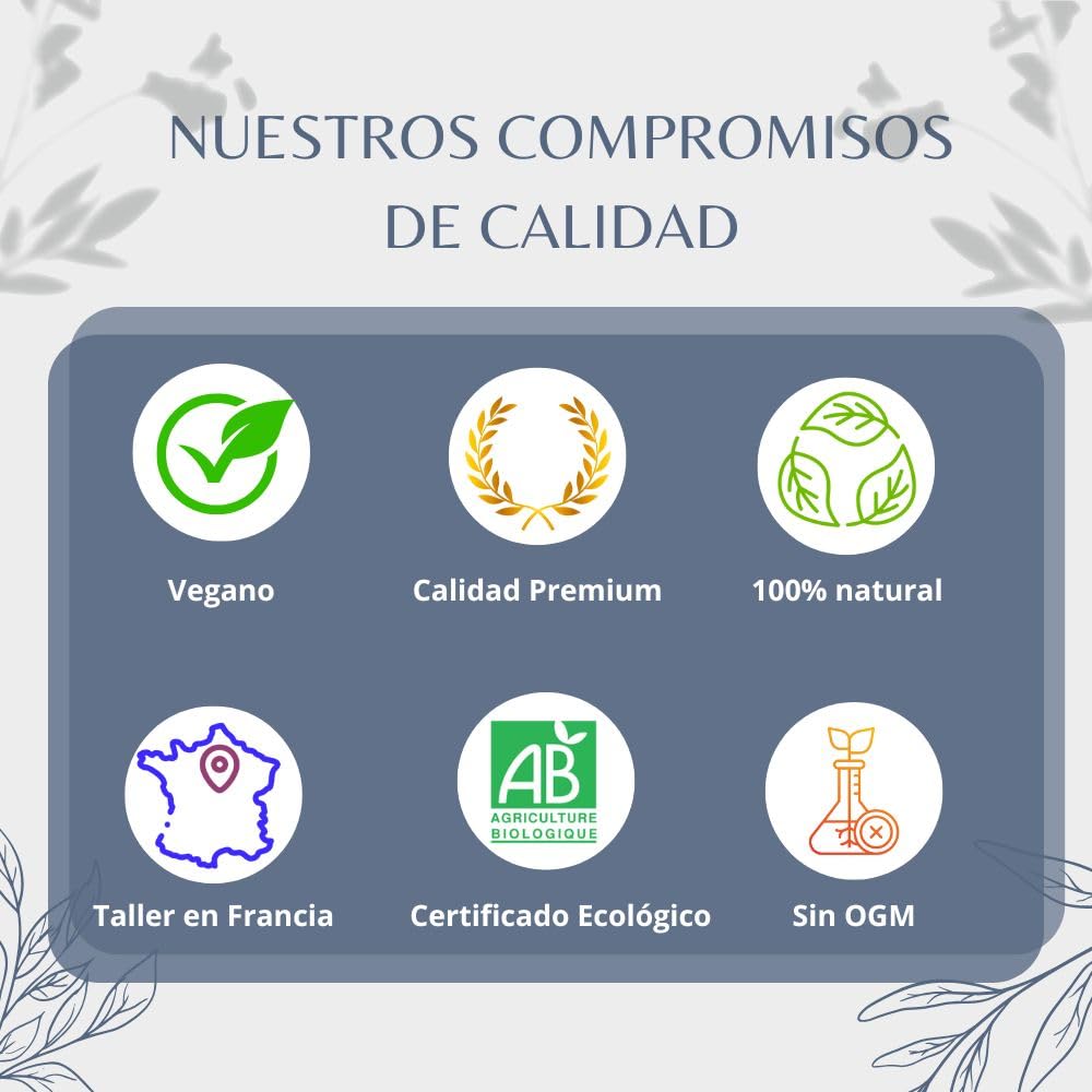 Rooibos Orgánico Infusión Vegana Hoja Suelta 100% Natural Libre de OGM Agricultura Ecológica Envasado en Francia 200g