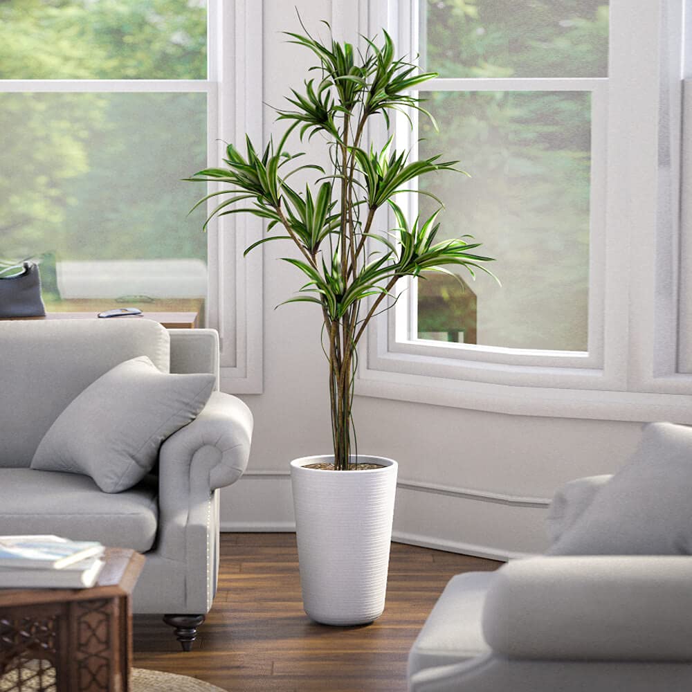 See full amazon price history chart for Bello Sereno Round 13 D x 20H Inch Plastic Flower Pots for Home / Office Decor, Eco Friendly Pots for Indoor / Outdoor & Balcony Gardening, Planters with Optional Drainage Hole, White Finish Planter - 1 Piece Bello Sereno Round 13 D x 20H Inch Plastic Flower Pots for Home / Office Decor, Eco Friendly Pots for Indoor / Outdoor & Balcony Gardening, Planters with Optional Drainage Hole, White Finish Planter - 1 Piece (B01LXULOUU) Amazon Price History, Amazon Price Tracker