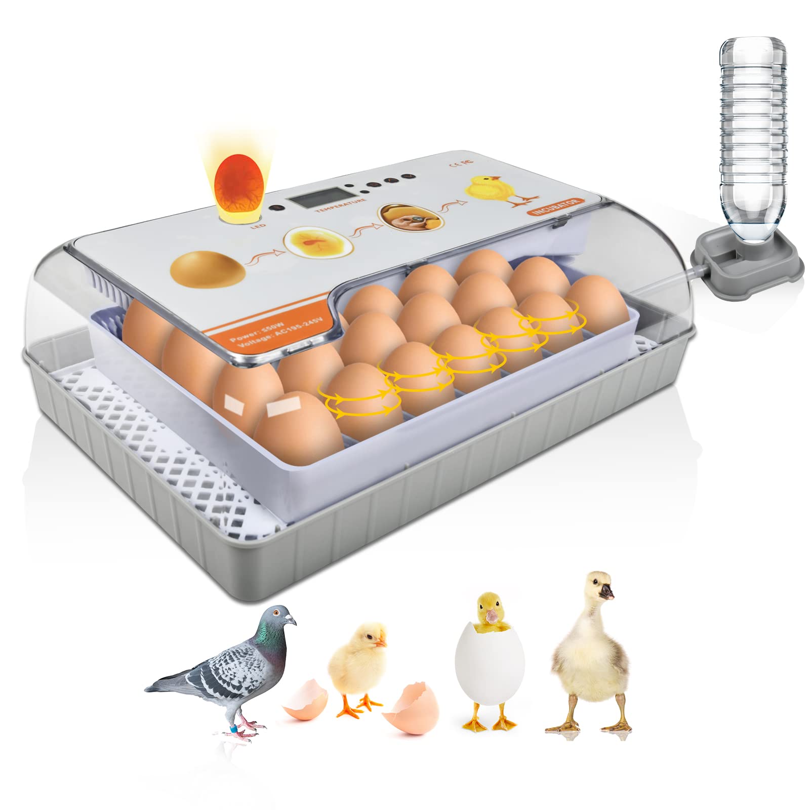 Buy Incubators for Hatching Eggs, 20 Egg Incubator with Temperature & Humidity Display