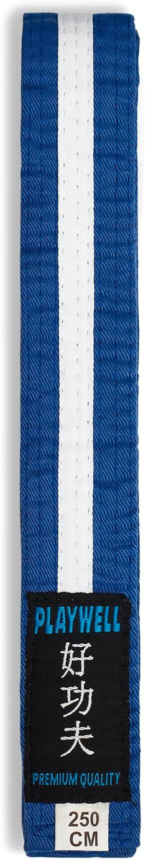 Playwell Unisex Blue Belt With White Stripe Martial Arts Cotton Coloured Belt With White Stripe Grading Belt - (Karate, Judo Taekwondo) (, 300Cm)