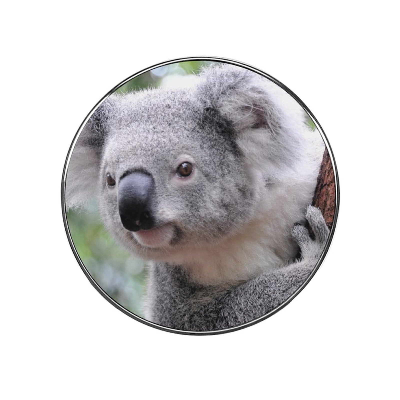 Koala Alloy Fridge Magnet For Office Cabinet Refrigerator Whiteboard Photo