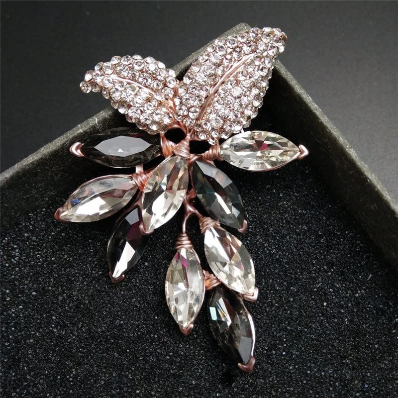 Amazon.com: Jewelry Brooch for Women's Big Crystal Flower Large Brooch  Grape Pins and Brooches Wedding Jewelry Bijouterie Dress Coat Accessories  (B : Clothing, Shoes & Jewelry