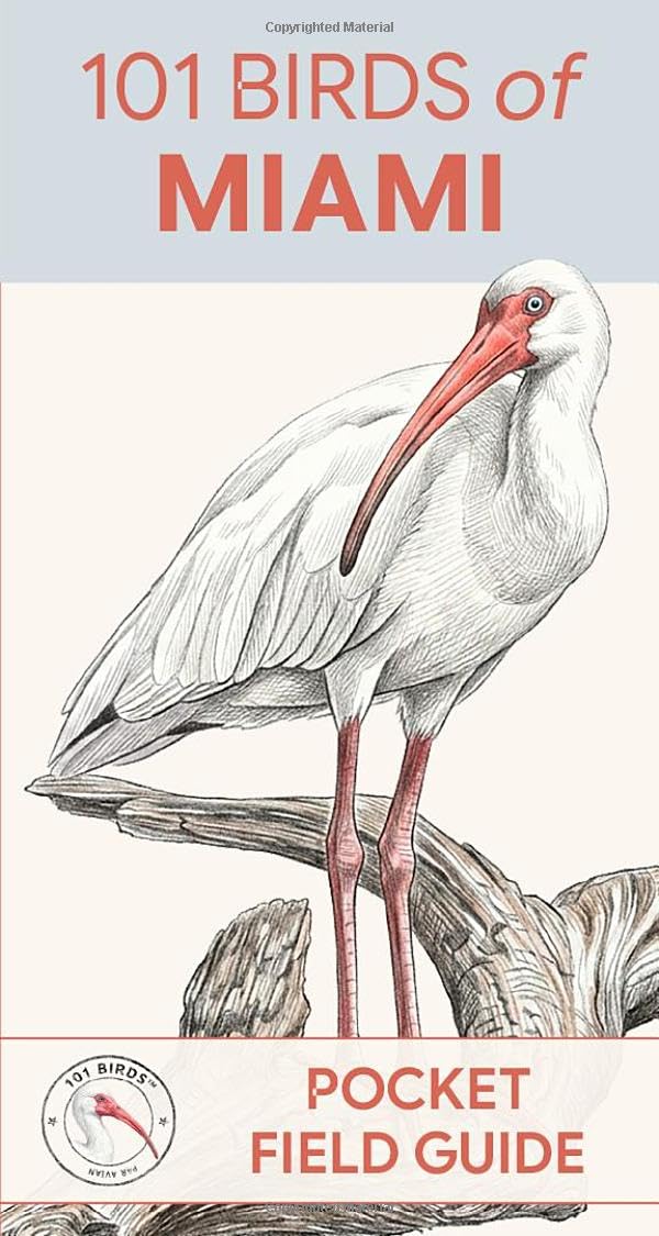 101 Birds of Miami: Pocket Field Guide (101 Birds Pocket Field Guides)