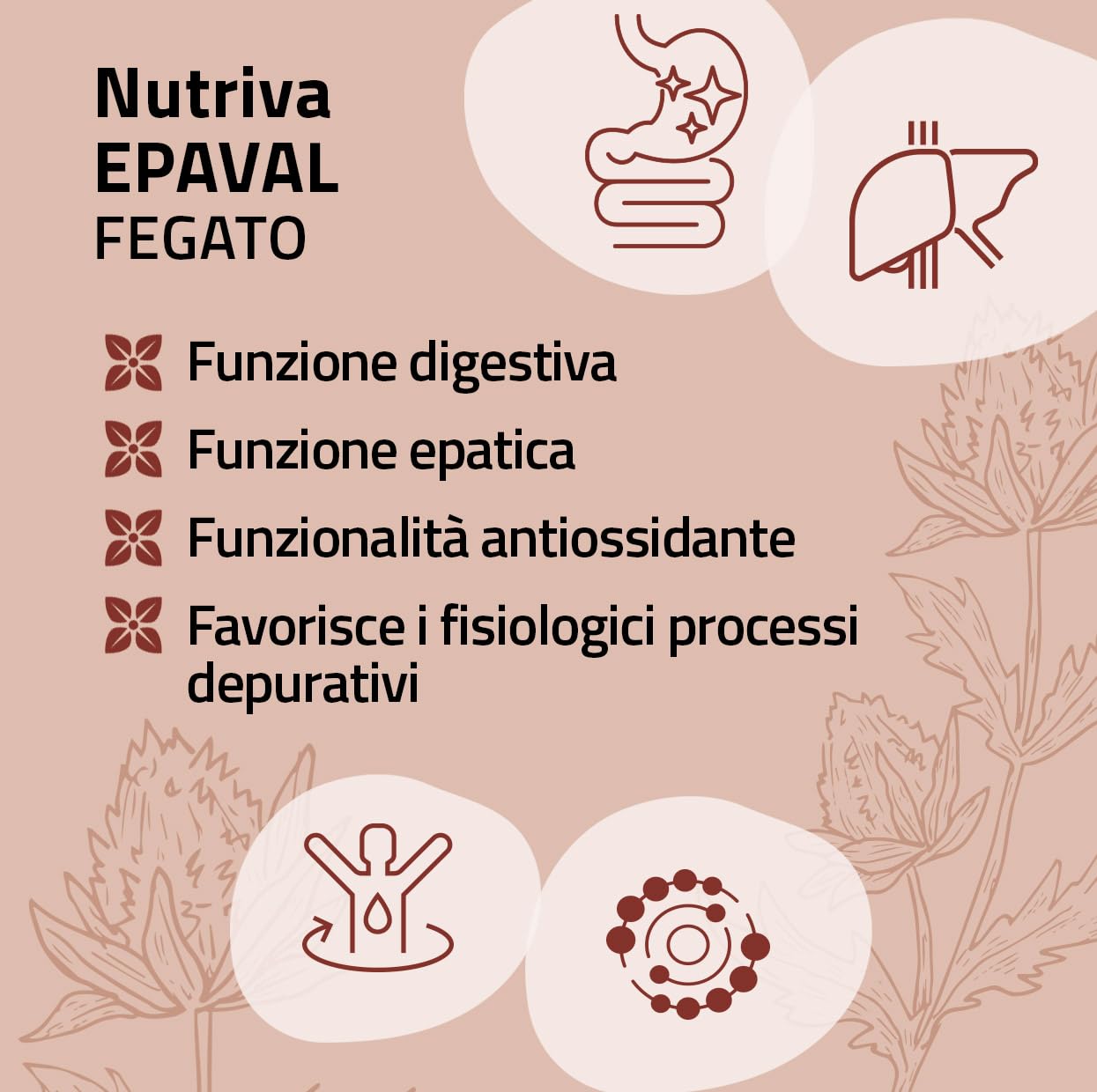 NUTRIVA Epaval, Integratore alimentare con Betaina, Colina, Inositolo, Metionina, N-acetilcisteina ed estratti vegetali. Utile al fegato e per digestione. 50 capsule