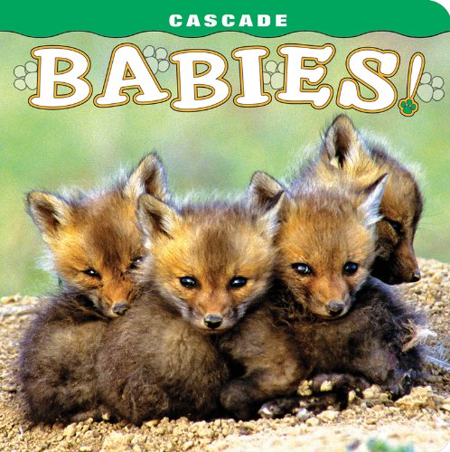 Cascade Babies (Babies! (Farcountry Press))