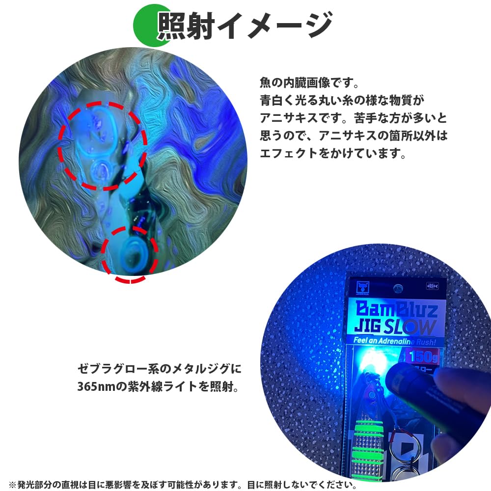 Amazon.co.jp: アニサキス発見 LED UV ライト ブラックライト