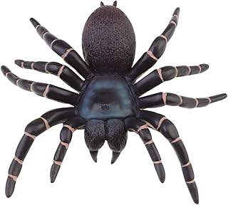 NOLITOY Outdoor Playset 1 PC Simulation Spider Realistic Looking Spiders Realistic Hairy Spiders Scary Spiders Outdoor