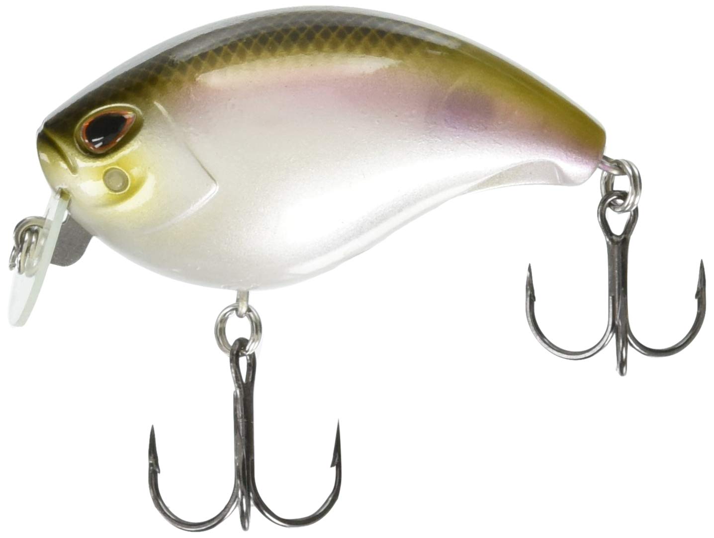 Amazon | Rapala(ラパラ) クランクベイト ストーム アラシ ウェイク