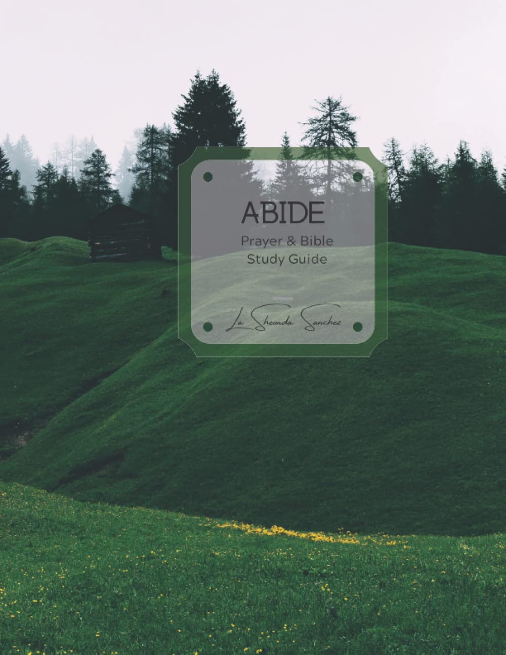 Abide: Prayer & Bible Study Guide