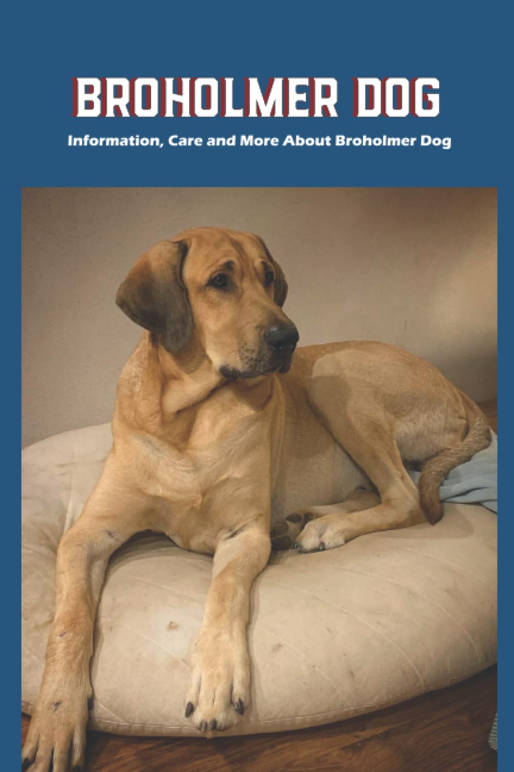 Broholmer Dog: Information, Care and More About Broholmer Dog