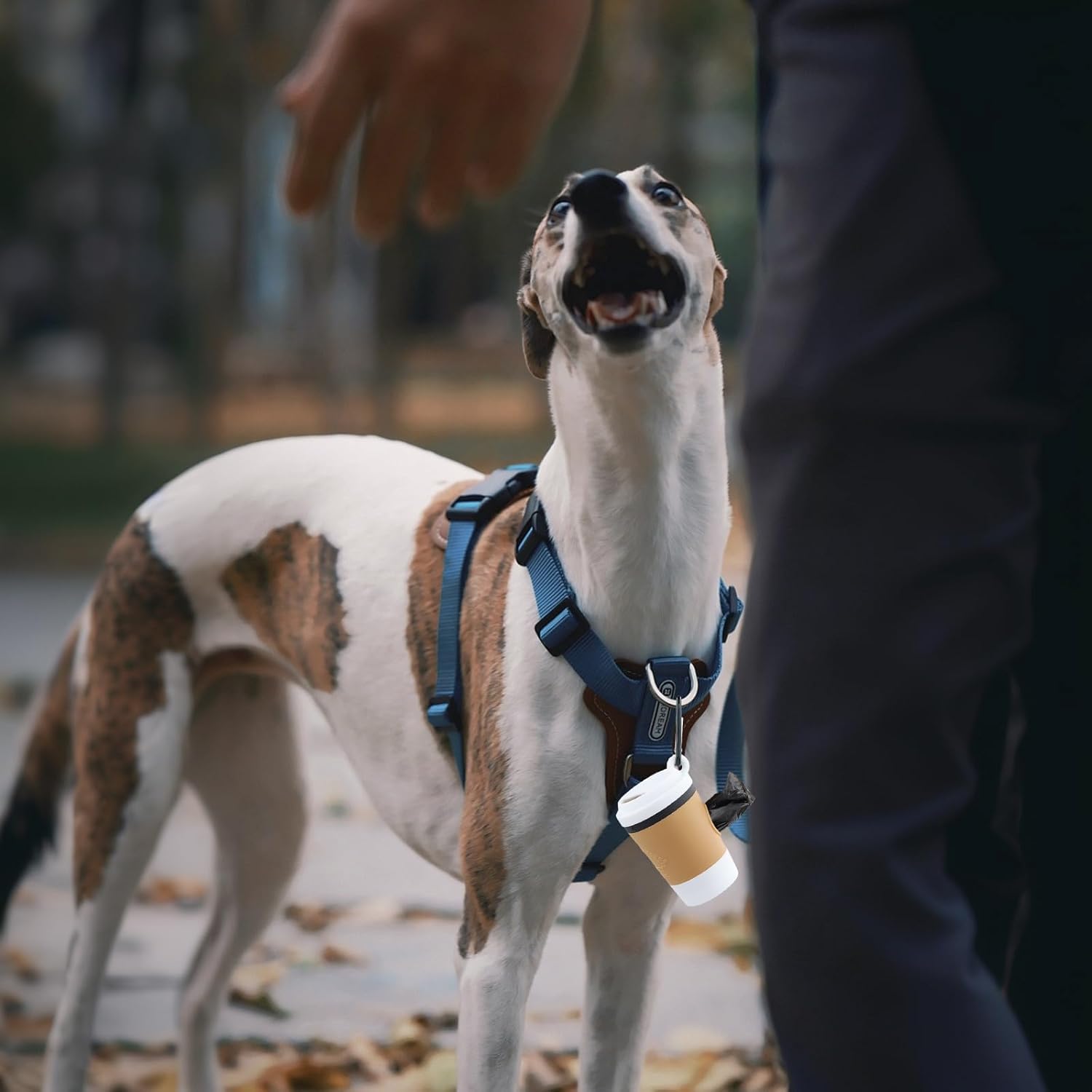 Dog Poop Bags, 2 Pieces Dispenser for Dog Poop Bags, Practical Accessory for Walking Cats, Portable Plastic Bag Holder for Pets, Cats (Multicolor) 4