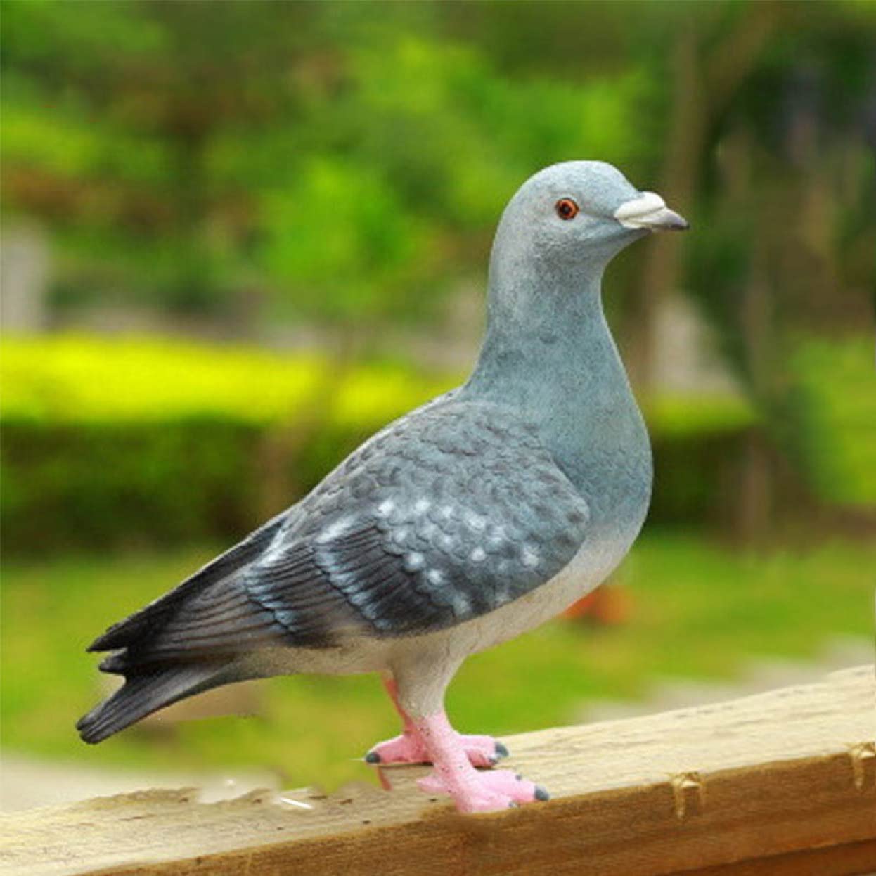 Amazon.co.jp: 鳩の置物 白 ピジョン タイプ 鳥 えんぎものの