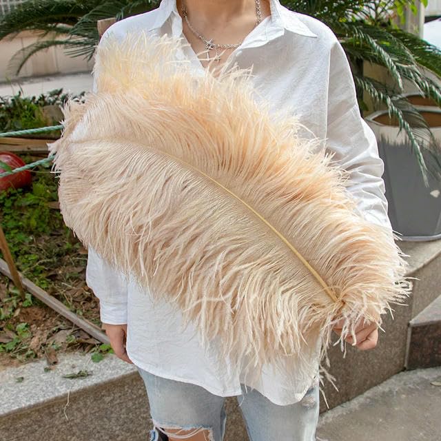 TUITA 10pcs White Large Ostrich Feather 15-55cm for Wedding Party Carnival Decoration Natural Ostrich Feathers Crafts DIY Accessories — image 1