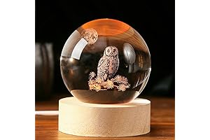 3D Owl Crystal Ball: Captivating Home Decor for Owl Enthusiasts