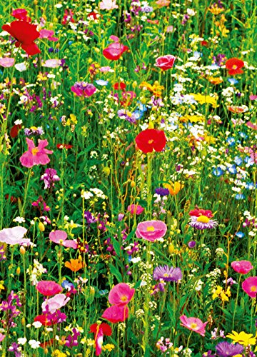 Ideal Décor DM375 Flower Field 4-Panel Wall Mural