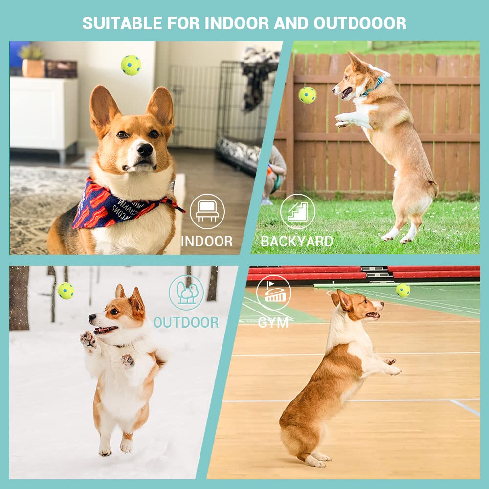 Lanceur de balles interactif Automatique pour Chien avec 6 balles en Latex durables à Haute élasticité incluses