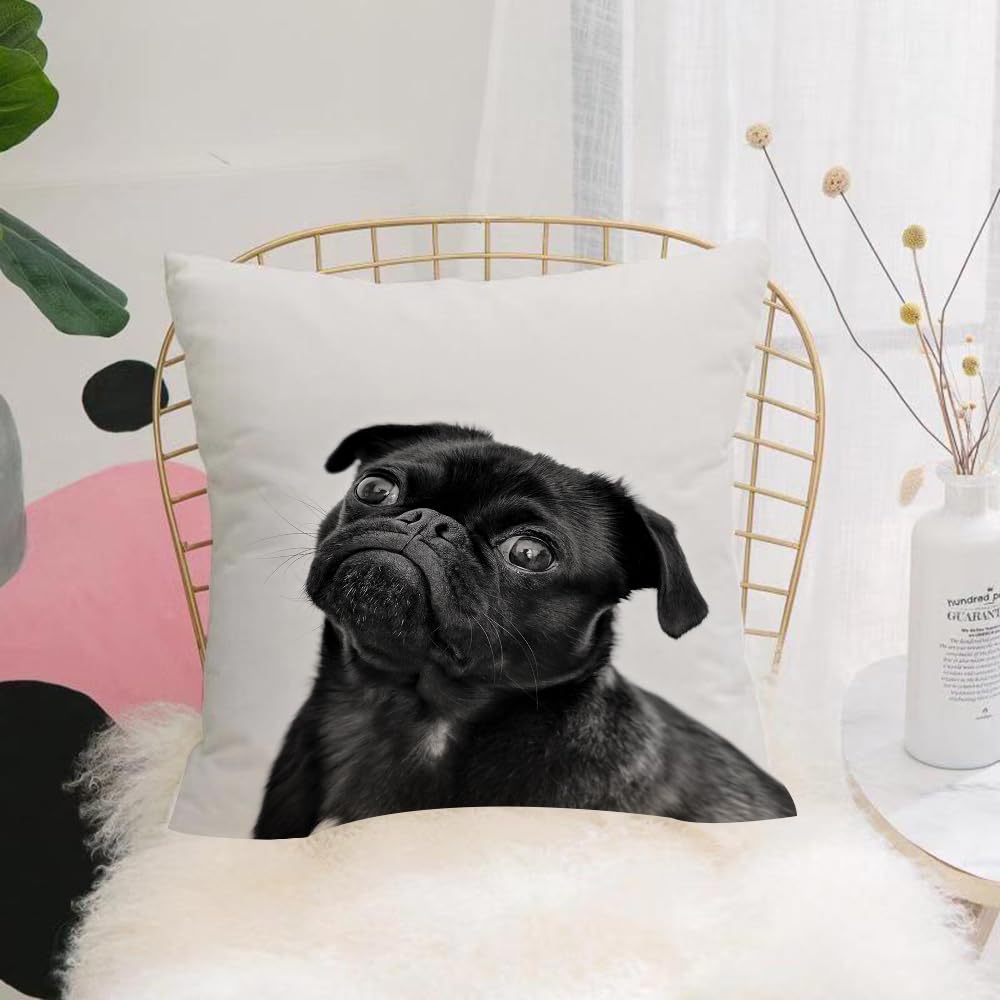 HYOSXW Cushion Cover,Throw Pillow Case Home Decorative for Living Room Bedroom Sofa Chair 16X16 Inch,Animal, a black pug dog on a white background, expressive and cute features,Pillowcase 40X40cm