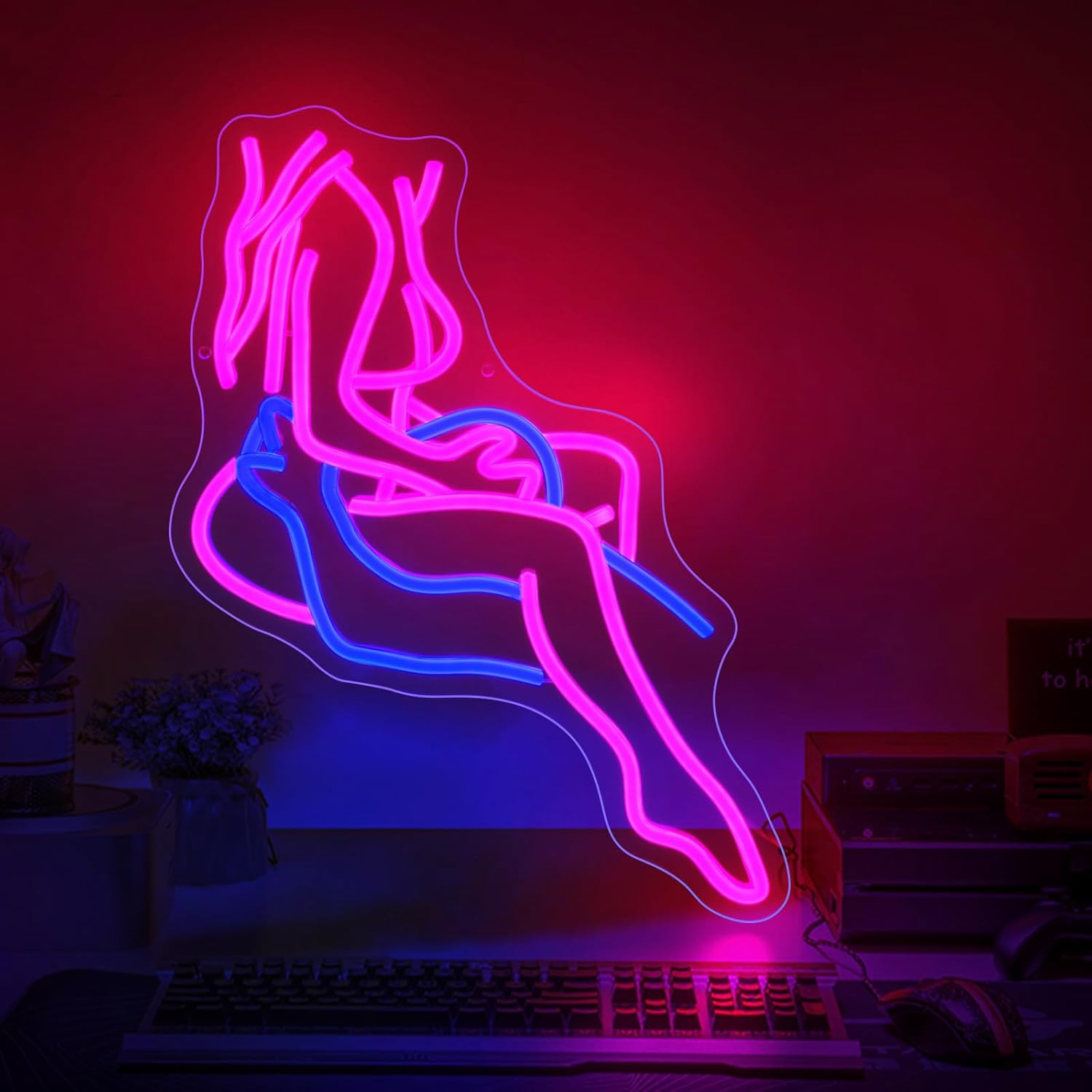 Lady Neon Sign, JGHTURIE Neon Signs for Wall Decor, Pink & Blue Light Up Signs for Room Decor Bar Led Sign for Man Cave, Party, Office, Art Decoration, USB Powered - Image 4
