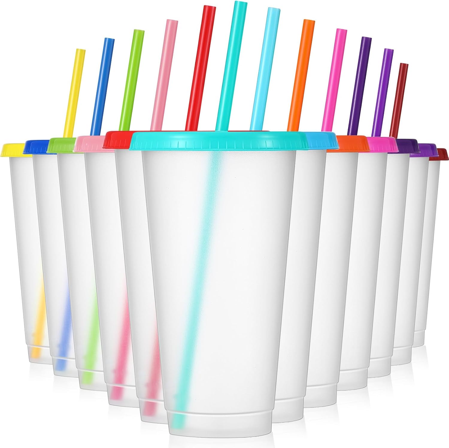 12 Pcs Plastic Tumbler with Lids and Straws Reusable