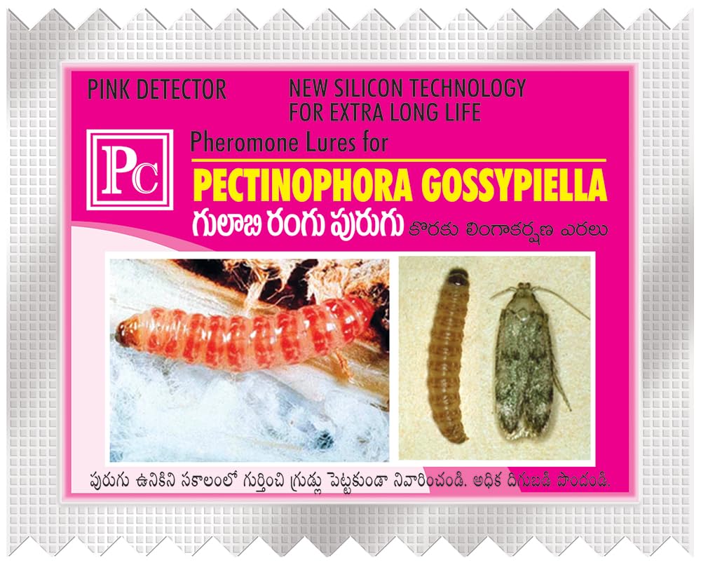 Pheromone Lure for Cotton Pink boll Worm (Pectinophera gossypilla)-25pack-image-35