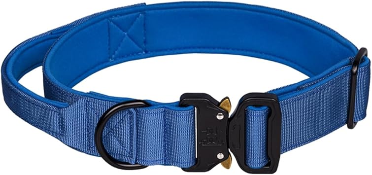 Haoyueer Martingale Collar Adjustable Heavy Duty Nylon Dog Collar For Boys And Girls (A85NO1, L