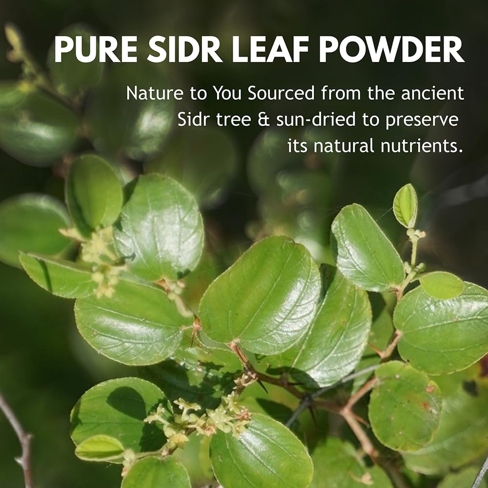 Hebhac Herbs Sidr Powder 227g, 227 g (Pack of 1) - Image 3