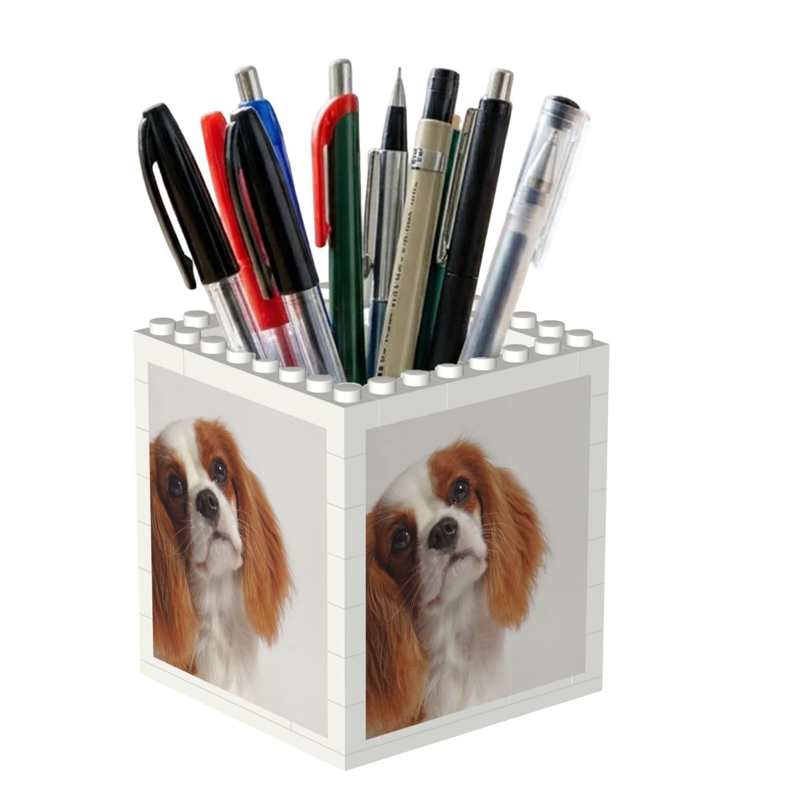 Poadnly Cavalier King Charles Spaniel, Pen Pot Pencil Holder for Office Home School, Compact Desk Organiser for Office Stationery