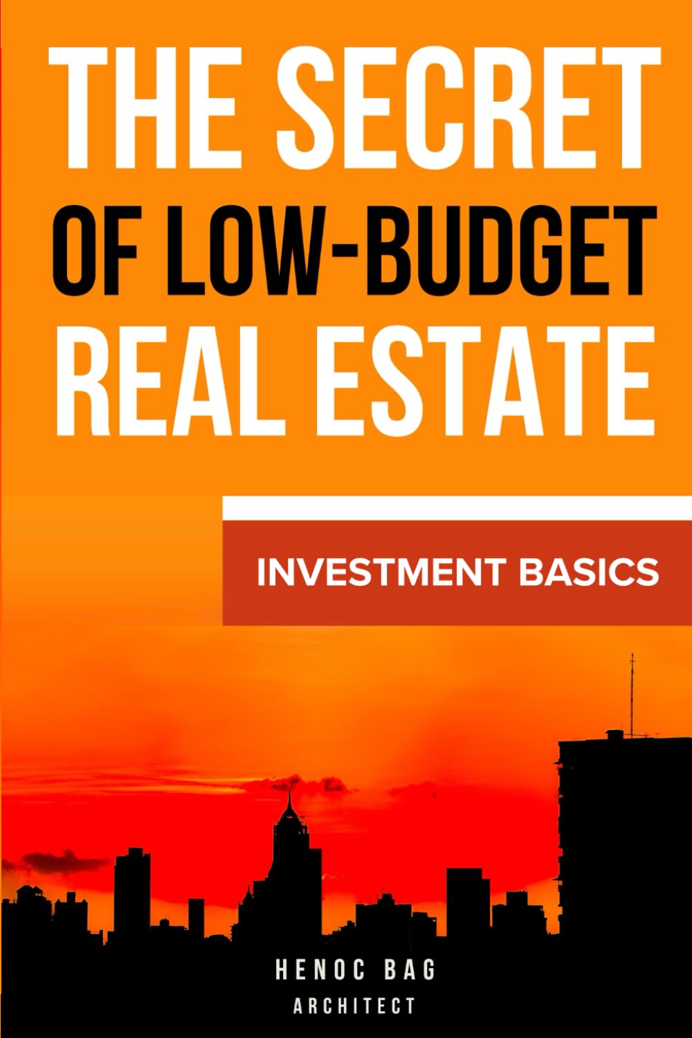 The secret of low budget real estate : Investments basics: Investments basics