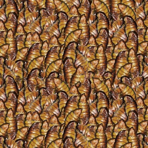 sera Koi Silkworm Nature 1000 ml - der natürliche Leckerbissen Seidenraupen, Koifutter für Koi ab 15 °C