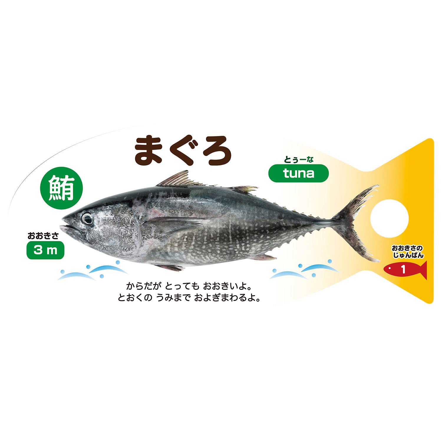 Amazon.co.jp: ギンポー これな～んだカード まなびっこ 銀鳥