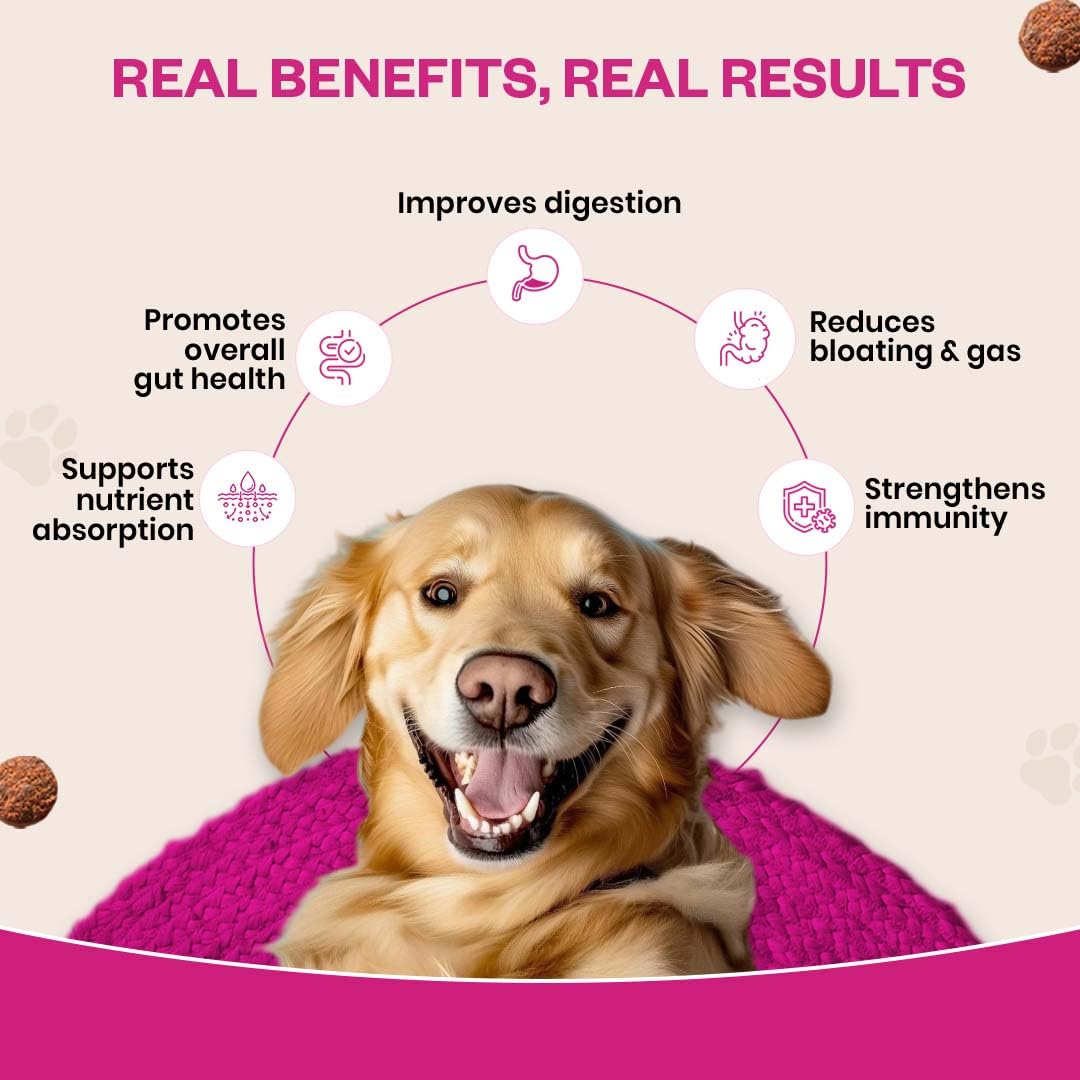 Probiotic Soft Chews Supplement for Dogs | Six Probiotic Strains for Gut Health & Digestion | Chicken Flavor | Supports Immune Function | 60 Soft Chews — Amazon image 3