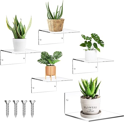 5 estantes flotantes pequeños para pared de acrílico de 4 pulgadas, mini estante de pared de acrílico, estantes colgantes transparentes, decoración