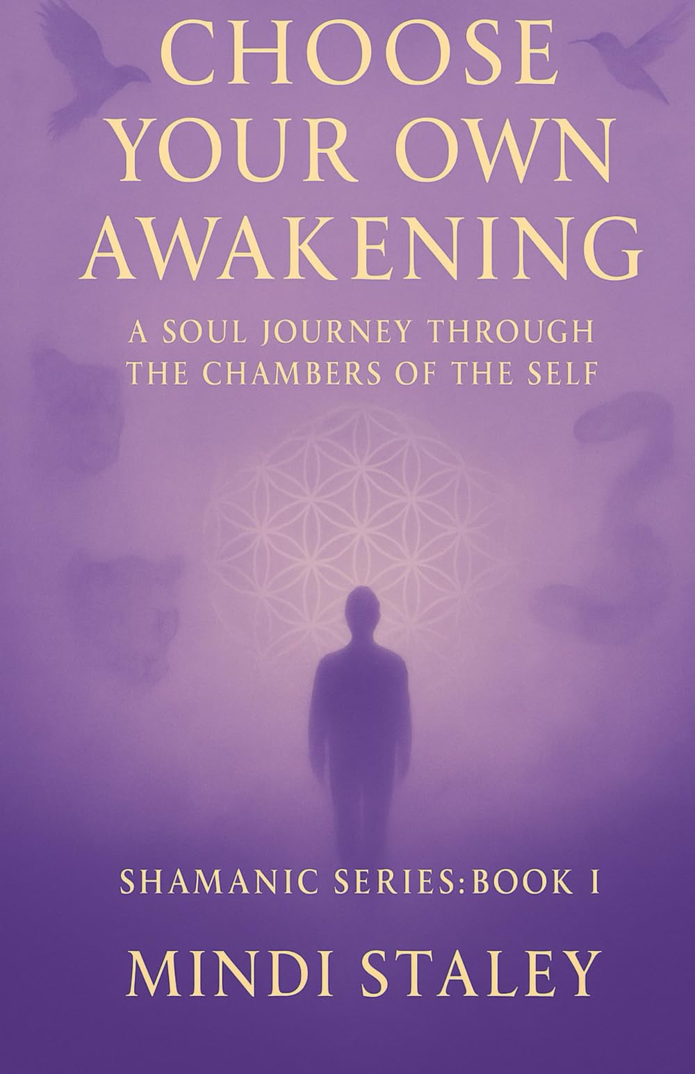 Choose Your Own Awakening: Shamanic Series: Book I: 1