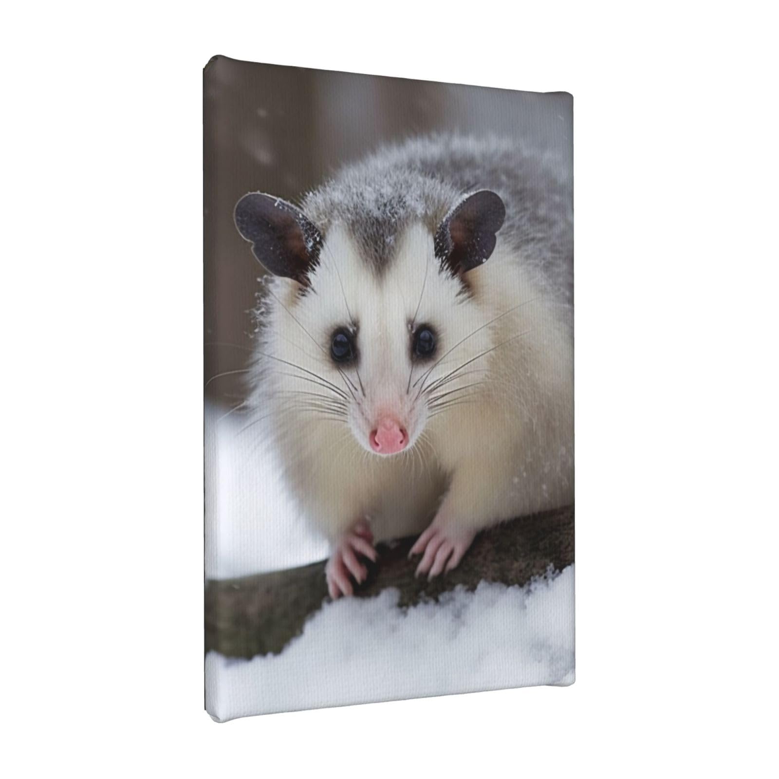 YKLJG Opossum In Snow Printed Wall Art Canvas Painting 20x30 CM Wooden Framed Picture Painting Artwork Prints for Bedroom Kitchen Home Office Decor