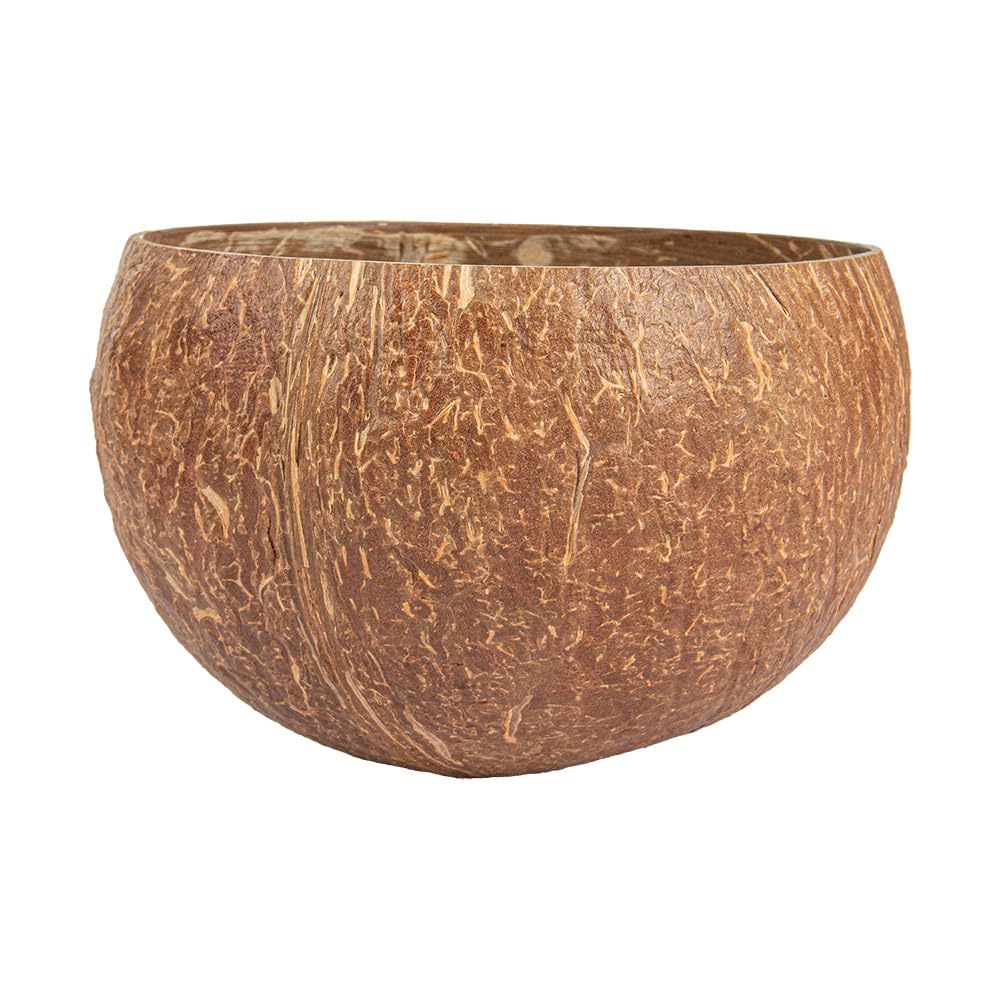 Garcia de Pou - 5 Unidades - Boles 350 Ml Ø9,5X8 Cm Natural Coco