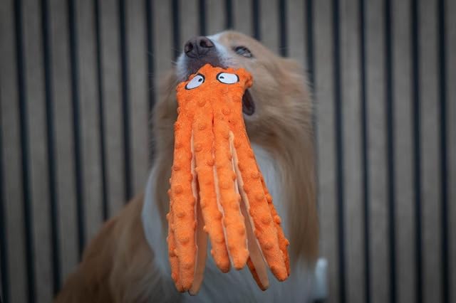 Foto 7 de 7 de JACK AND VANILLA, Juguete Interactivo para Perro de Peluche Pulpo 32 cm Naranja, Estimula el Instinto de Juego