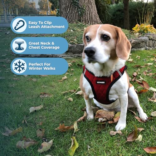 Image of Best Pet Supplies - All Weather Plush, Reflective, No Pull Harness for Small, Medium Dogs, Cats - Secure with Hook & Loop Fastener, Buckle, Double D-Rings - Red Faux Leather, XL
