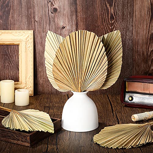 Nuanchu Natural Dried Palm Leaves Real Palm Leaves Decor Boho Palm Fans Tropical Palm Flowers Dried Palm Spears Heart Oval Shape Dried Palm Leaves For Wedding House Party Kitchen Decor (5, Brown) #TOP1