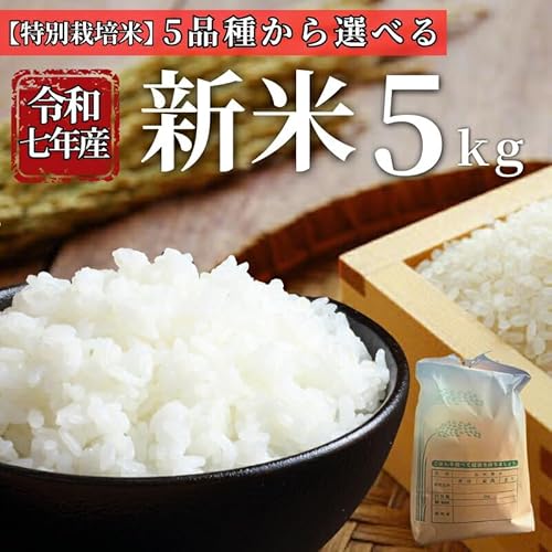 にじのきらめき 5kg お米 令和7年産 特別栽培米 新米 5kg[選べる品種]にじのきらめき ヒノヒカリ にこまる コシヒカリ ミルキークイーン 先行予約 [2025年10月〜11月以降発送] 精米 米 こめ コメ 白米 ごはん ライス 愛媛 伊予市