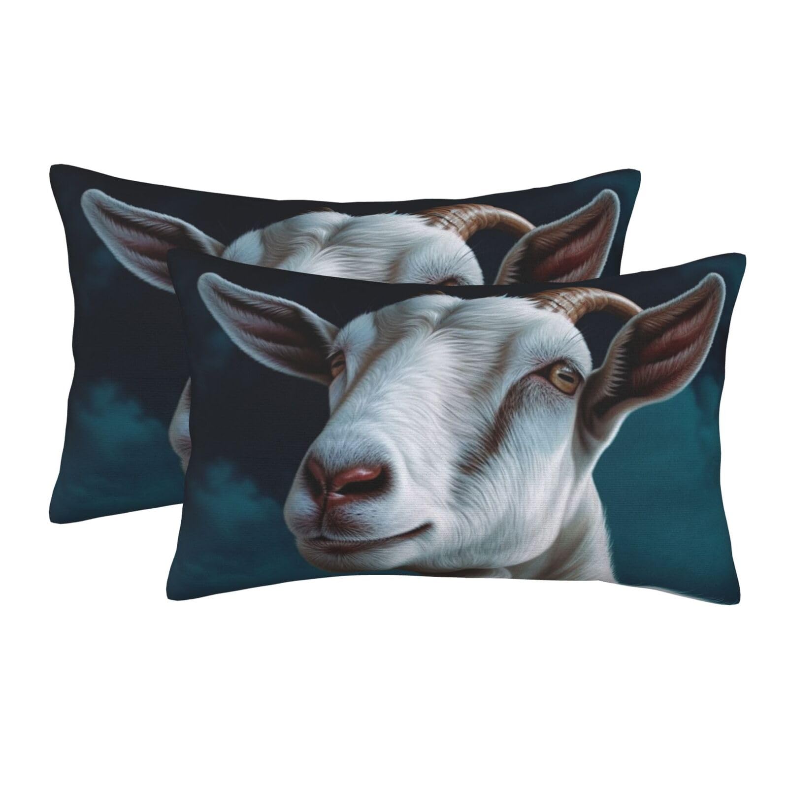 2 Pack Pillow Cases with Hidden Zipper, Soft Breathable Pillow Covers for Hair and Skin, Goat Pillowcases 20"x30" Bed Pillow Protectors Cover for Sleeping Gifts