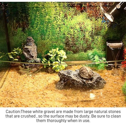 Image of 45lb Cactus Pea Gravel Rocks,1 /5 Inch Pebbles for Indoor Plants, Natural Succulent Rock and River Rocks Decorative for Aquariums, Vases, Terrarium, Outdoor Gardening, Top Dressing for Potted Plants