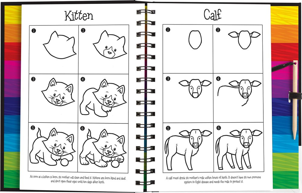 Scratch and Draw Animals