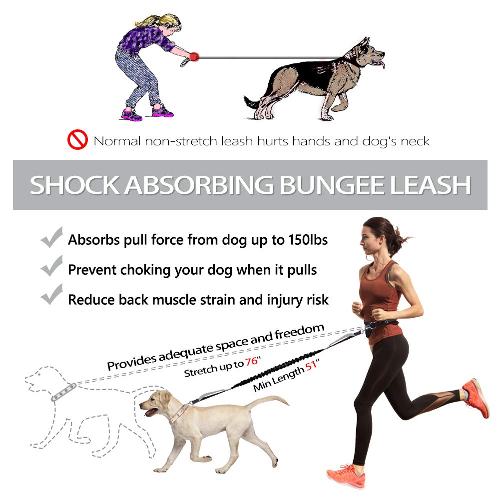 Runner's Choice By Iron Doggy Best Dog Leash Running Iron Doggy