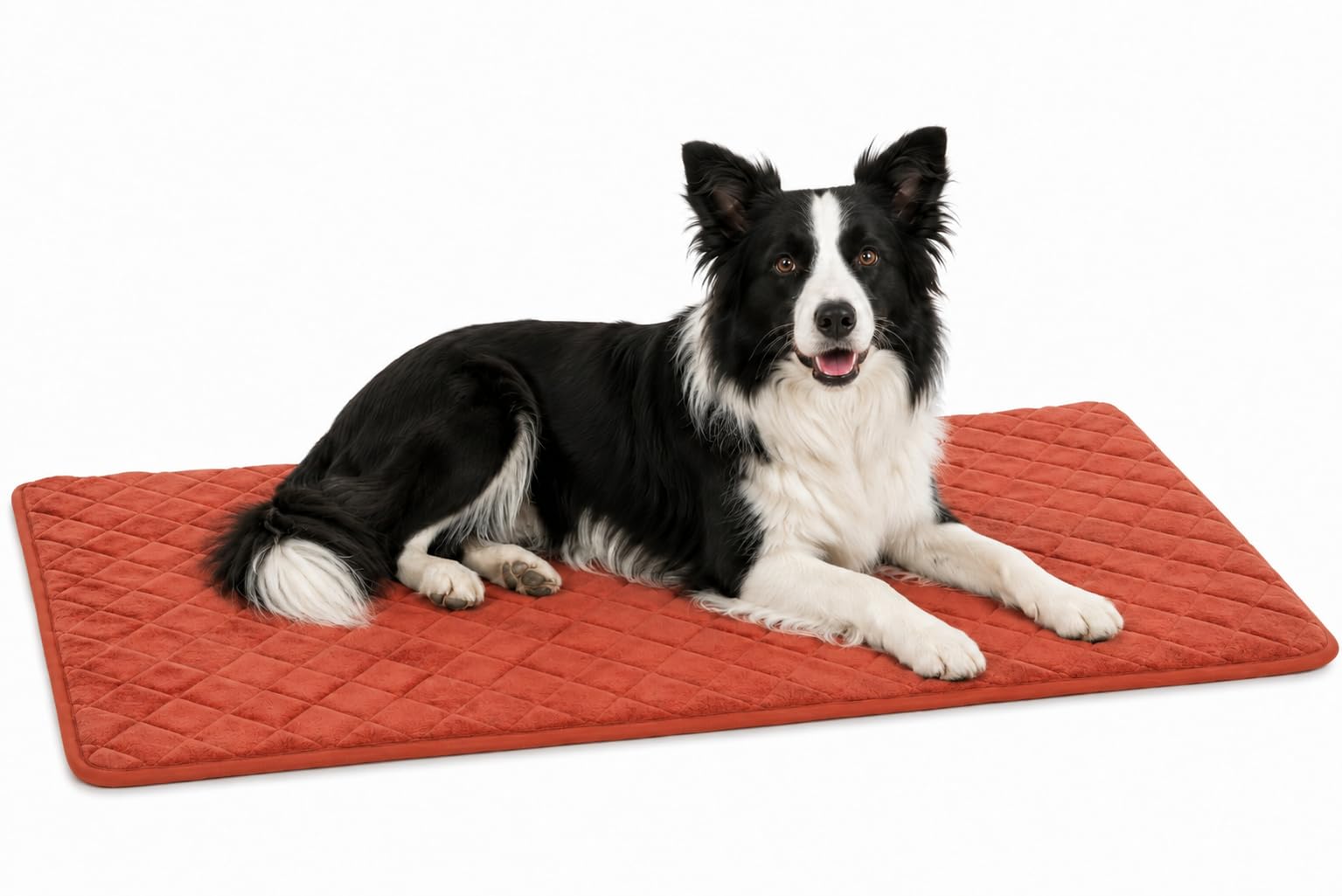 cuccia cane - cuscino ortopedico Weimar cognac - cuscino premium lavabile per cani e gatti - 100,5x63x2cm