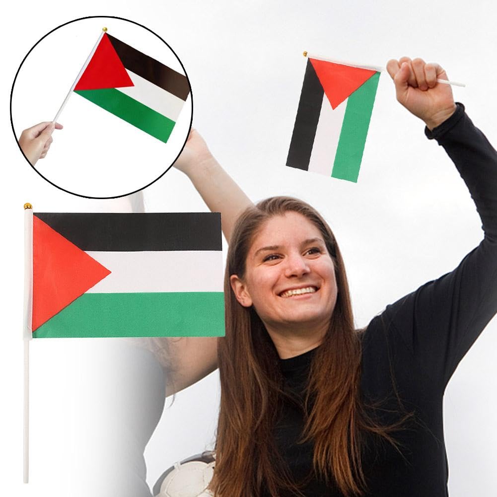 Palestina bandiera palestinese con palo I Stand mano sventolando