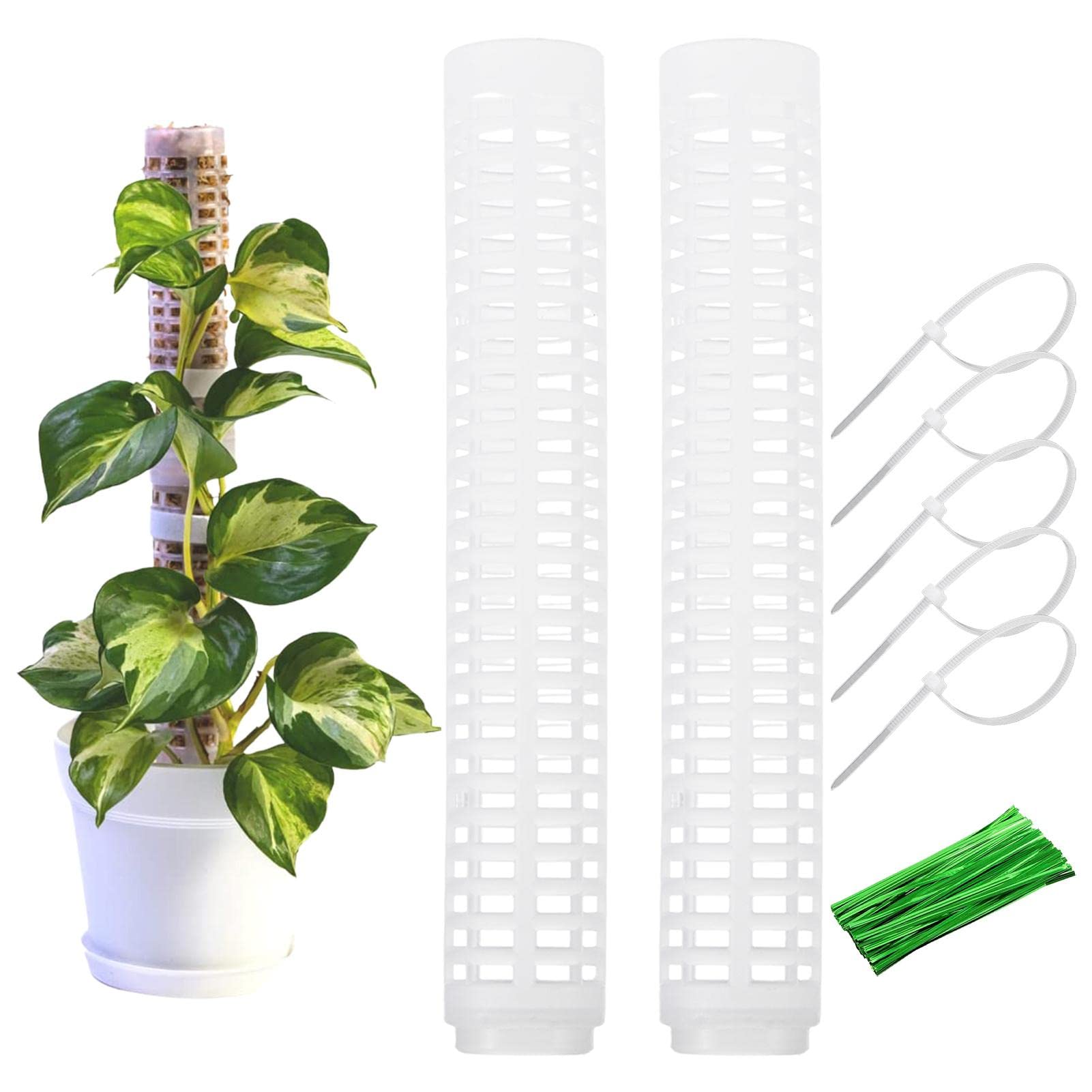 Amazon.co.jp: shopparadise 植物支柱 2本セット 園芸支柱 つる